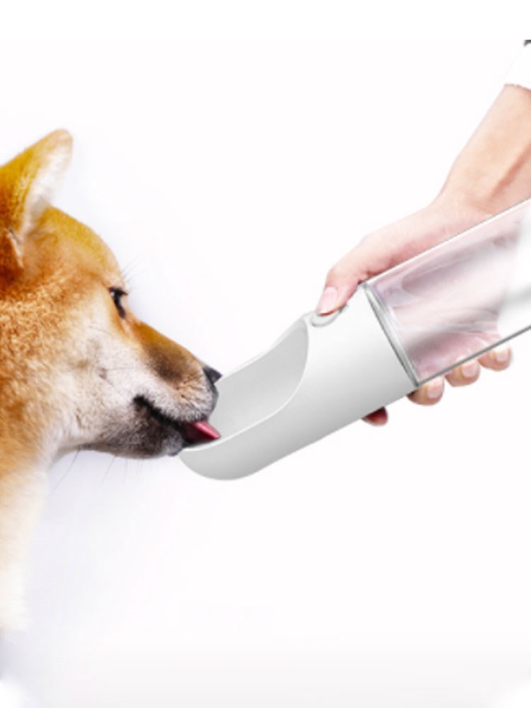 tillies pet supply