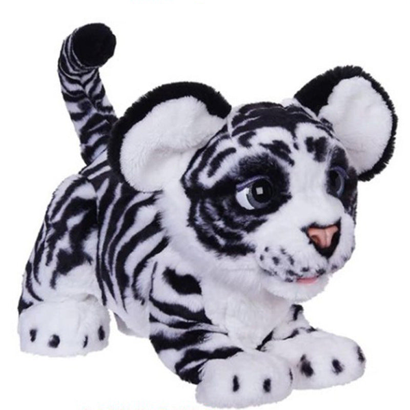 tillies pet supply