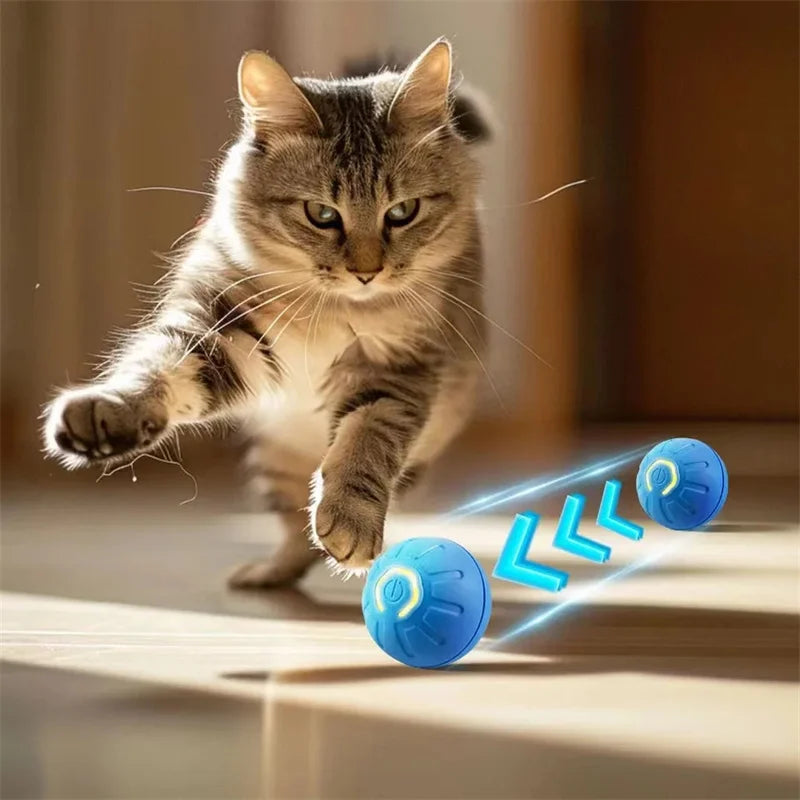 Smart Interactive Dog Ball - USB Rechargeable Moving Toy