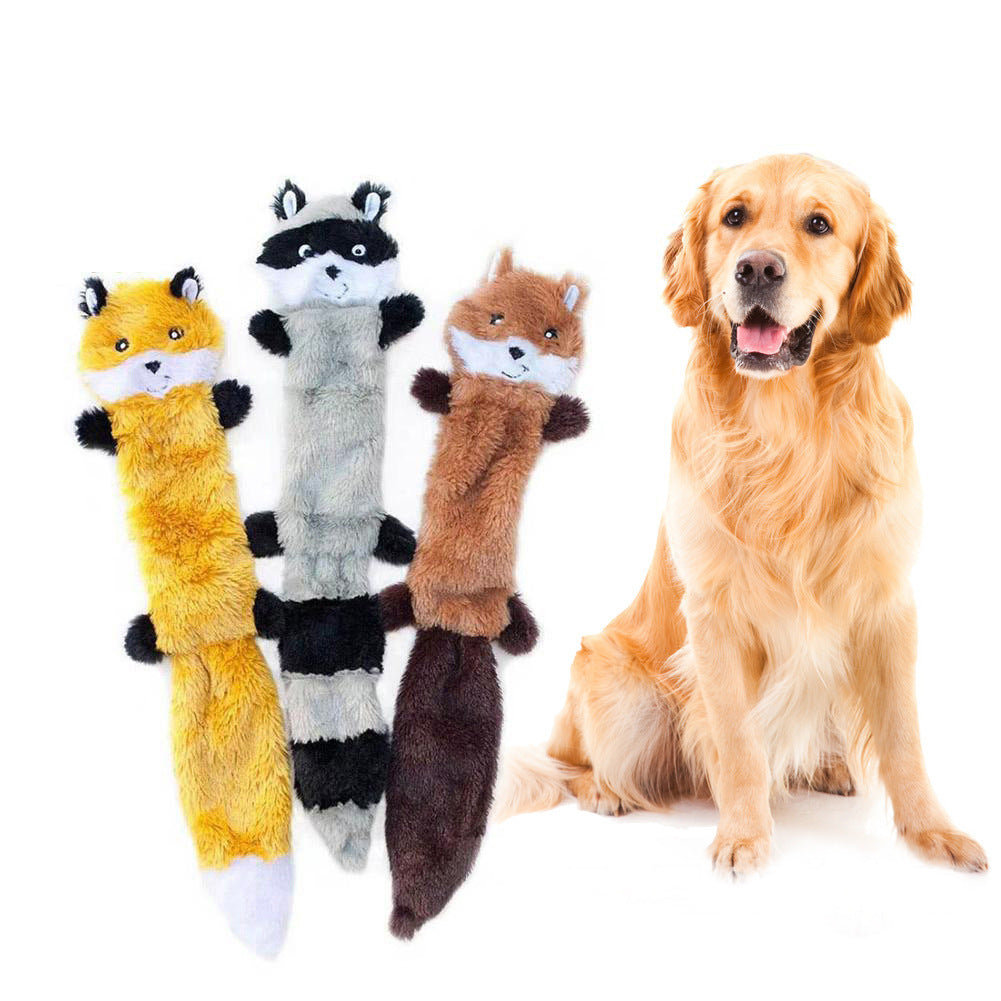 tillies pet supply