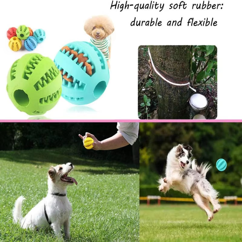 Interactive Rubber Dog Ball - Chew & Tooth Cleaning Toy
