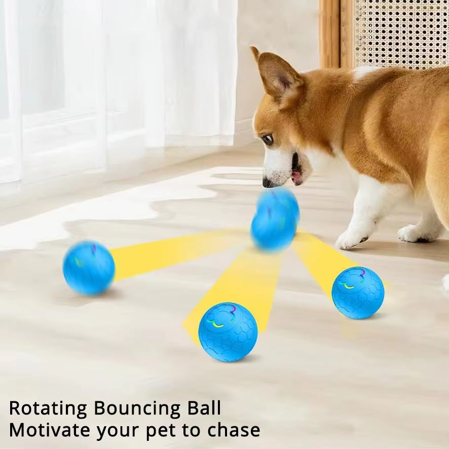 Interactive LED Smart Dog Ball