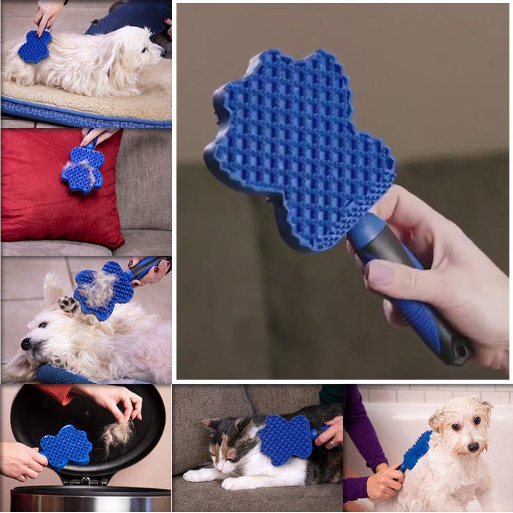 tillies pet supply