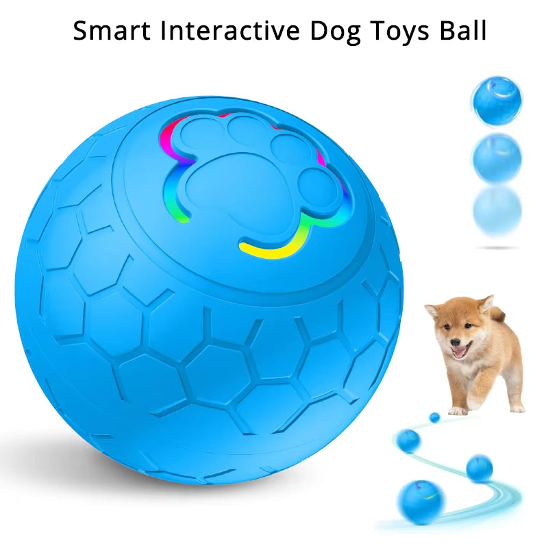 Interactive LED Smart Dog Ball