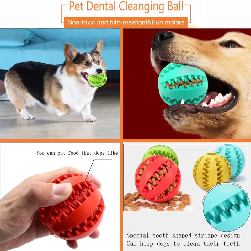Interactive Rubber Dog Ball - Chew & Tooth Cleaning Toy