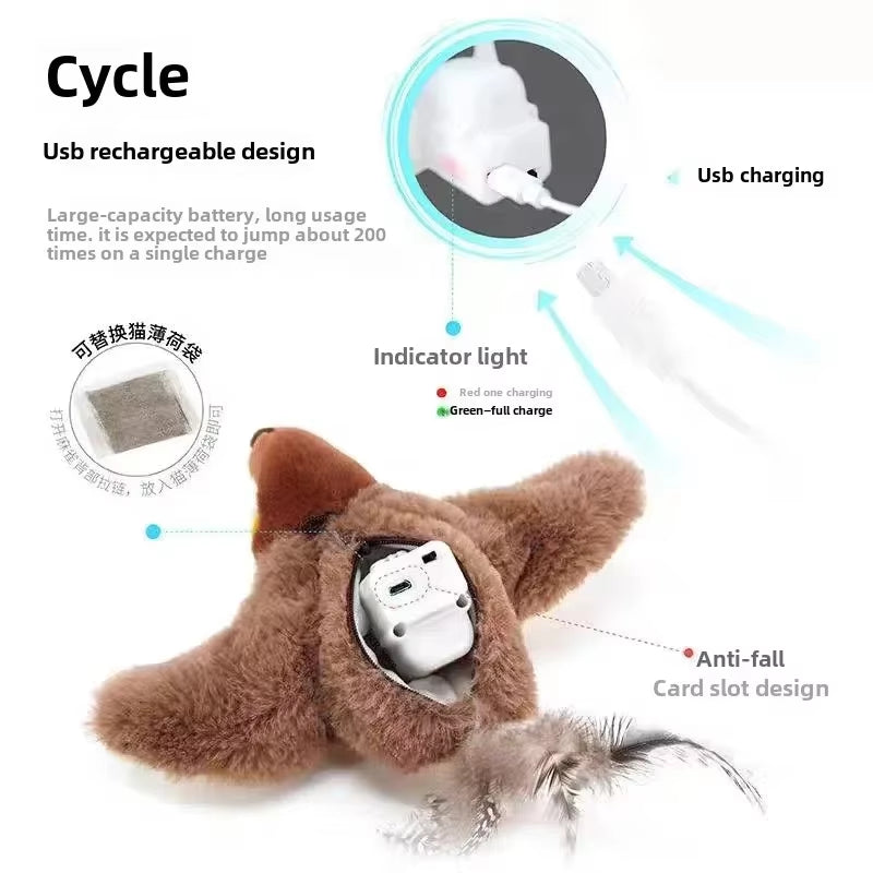 Interactive Catnip Cat Toy - USB Rechargeable & Squeaky