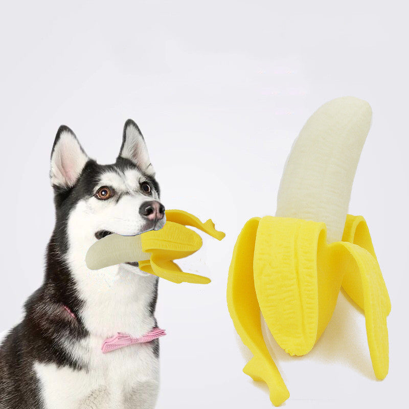 tillies pet supply