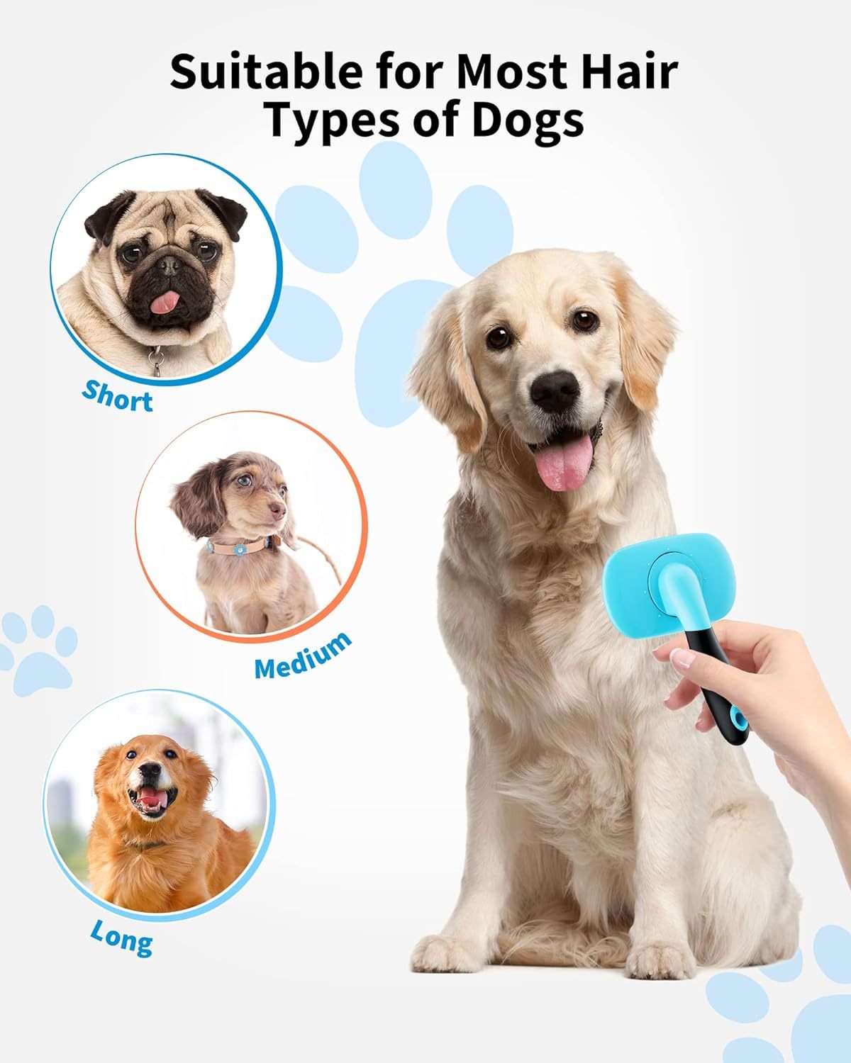 tillies pet supply