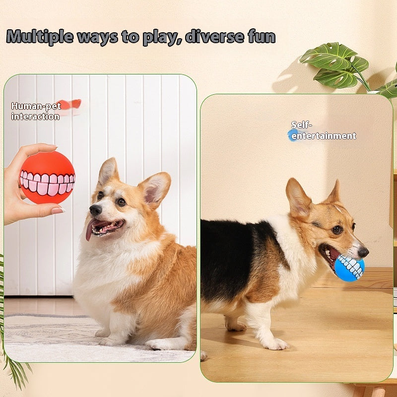 tillies pet supply