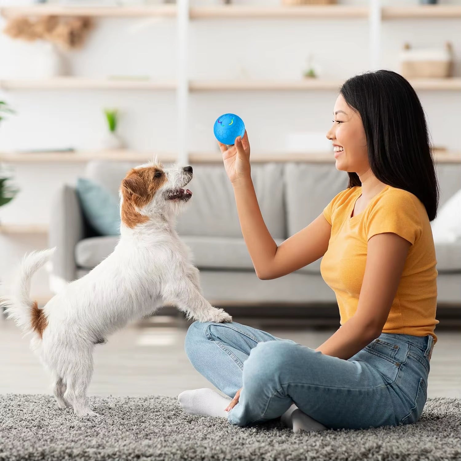 Interactive LED Smart Dog Ball