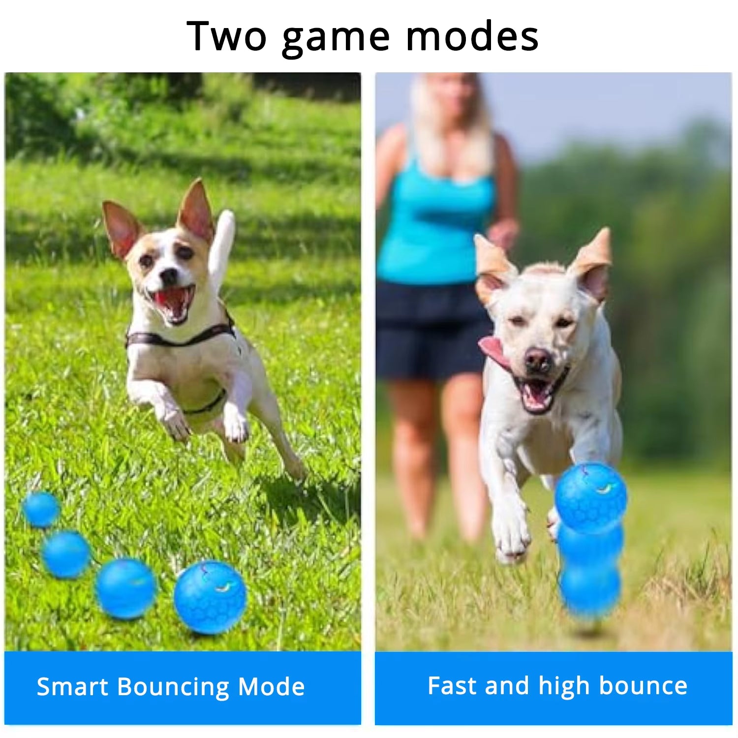 Interactive LED Smart Dog Ball