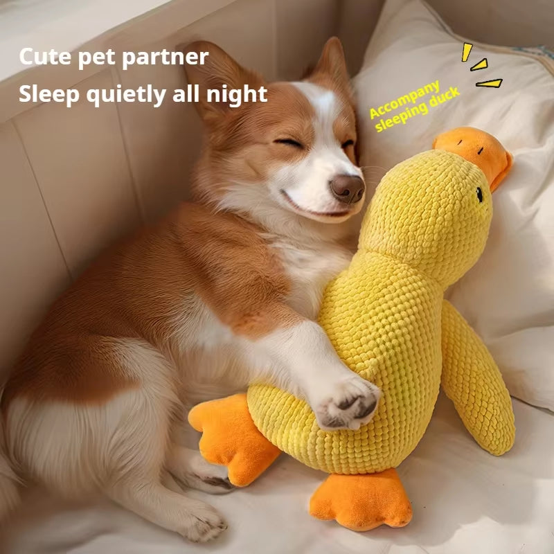 Plush Duck Dog Toy - Bite Resistant & Teeth Grinding Sound