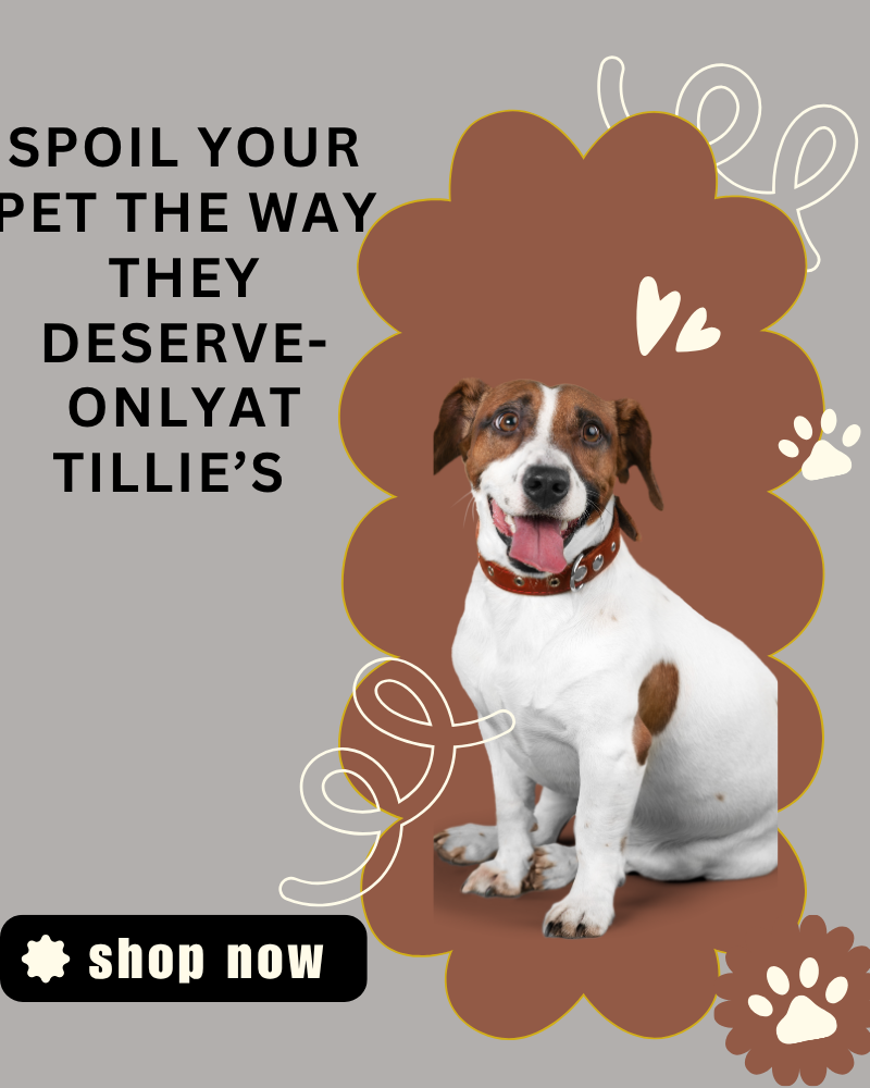 tillies pet supply