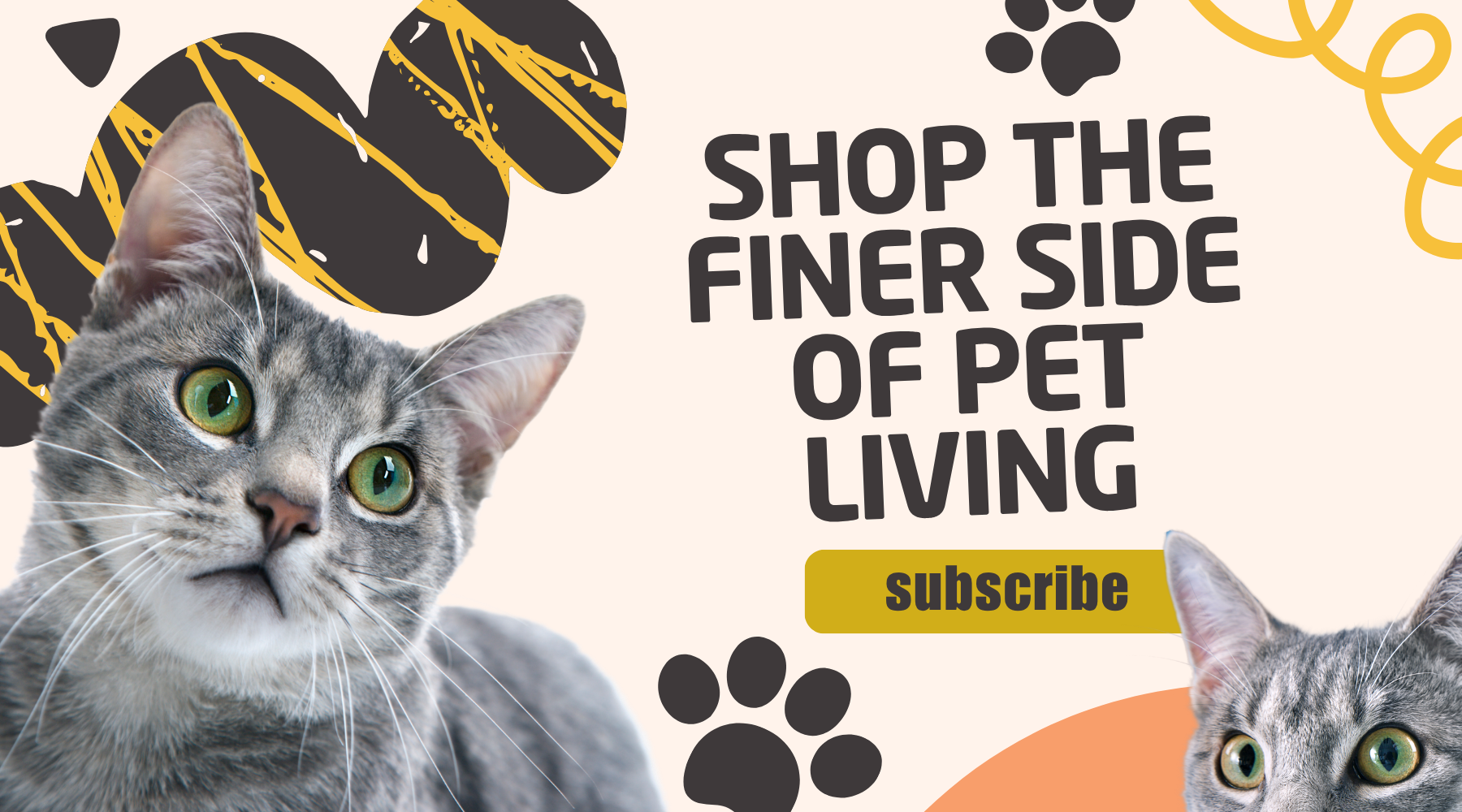 tillies pet supply