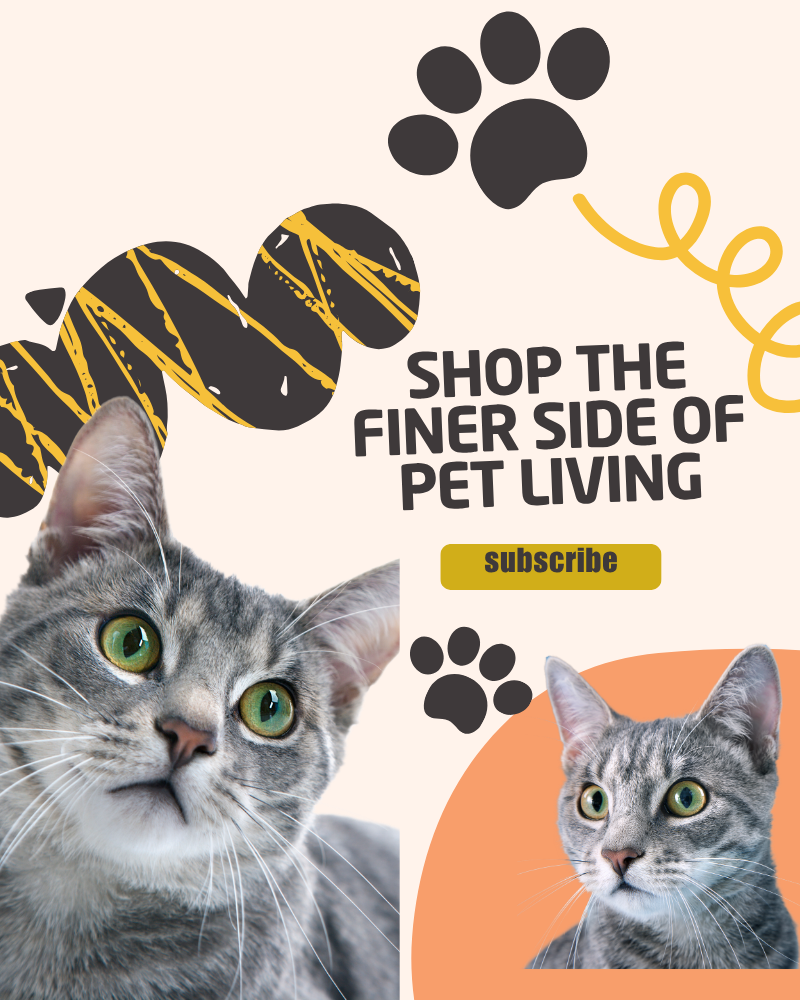 tillies pet supply